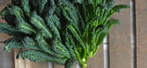 vegan cookery school